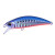 14626-Mazume Sardine