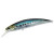 24932-Real Sardine