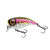 13384-Rainbow Trout