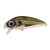 23531-Shad
