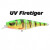 12681-UV Firetiger