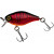 20076649-
			Aurora Red Tiger