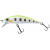 20080949-
			Grass Trout