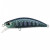 16898-Emerald Yamame