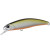 29094-Tennessee Shad
