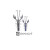 52938043-
			№43<br>Rock Shrimp