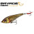 27812-Dirty Roach
