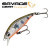 Olive Smolt<br>- КОД : 
SVS72321