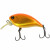 52270003-
			№3 Orange Gold