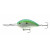 CITRUS SHAD