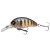 pearl ghost perch