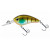 ghost gill
