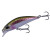 MCC4036 Rainbow Trout