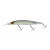 NATURAL GHOST SHAD