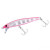 PINK ZEBRA