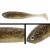 #110<br>SUJIEBI