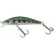 20017674-
			HL Rainbow Trout