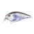 13497-Sea Trout
