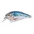 13498-Mackerel