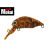 28489-Winning Brown