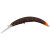 28738-TACKEY BROWN/ORANGE
