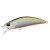 14298-Tennessee Shad
