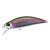 14297-Rainbow Trout