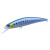 14379-Sardine
