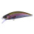 31586-Rainbow Trout ND
