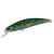 24936-Green Mackerel