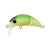 21622-GREEN TEA