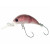 21629-PINK PELLET