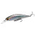 28174-Sea Trout