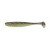 Gold Flash Minnow