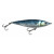 Blue Mackerel