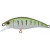 20065065-
			Minnow