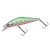 CHART YAMAME ORANGE BELLY