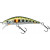 20037087-
			Spot Green Trout