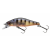 pearl ghost perch