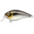 13500-Pompano