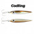 Codling