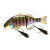 21397-HL BLUEGILL