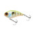 19752-CHARTREUSE BACK BLUEGILL