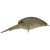 20497-ENDO GLOW PELLE OLIVE