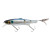 25785-SLEEK BORAGIN