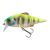 24595-CHART BACK PEARL GILL