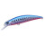 14401-Mazume Sardine