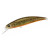 25356-RP Yellow Loach