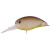 20482-GONTY RUSH GLOWII