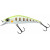 20081052-
			Grass Trout
